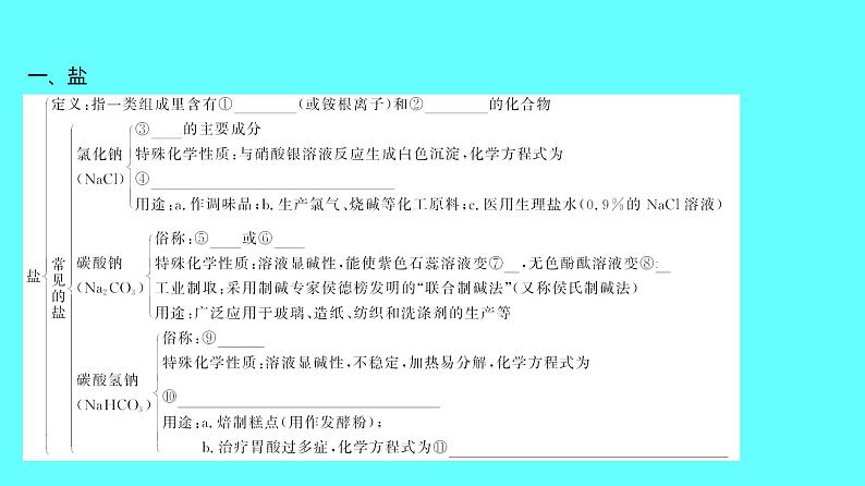 2024湖南中考复习 人教版化学 第十一单元　盐　化肥 课件05