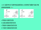 2024贵州中考一轮复习 人教版化学 技能提升专项训练三　酸碱盐之间的转化与探究 课件