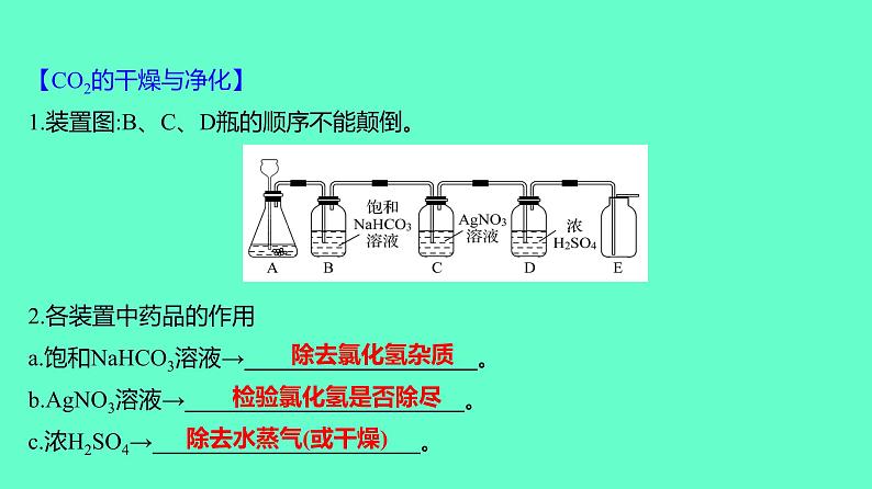 2024贵州中考一轮复习 人教版化学 教材基础复习 实验2　二氧化碳的实验室制取与性质 课件第5页