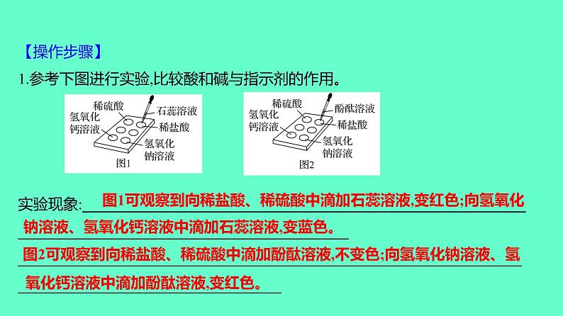 2024贵州中考一轮复习 人教版化学 教材基础复习 实验6　常见酸、碱的化学性质 课件第3页