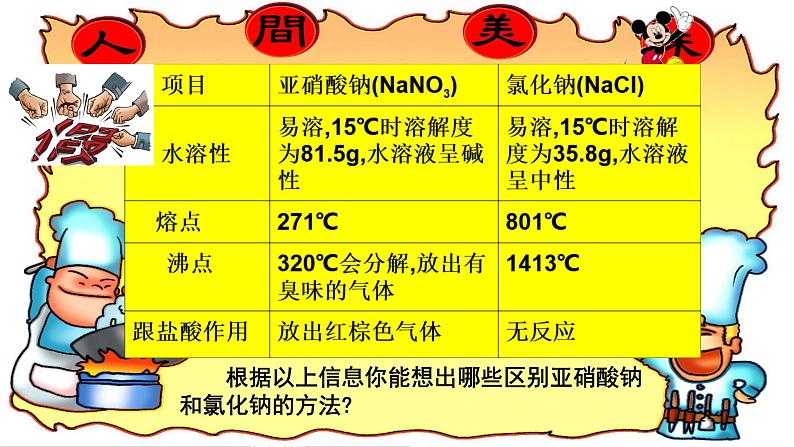 11.1生活中常见的盐课件-2023-2024学年九年级化学人教版下册 (1)第7页