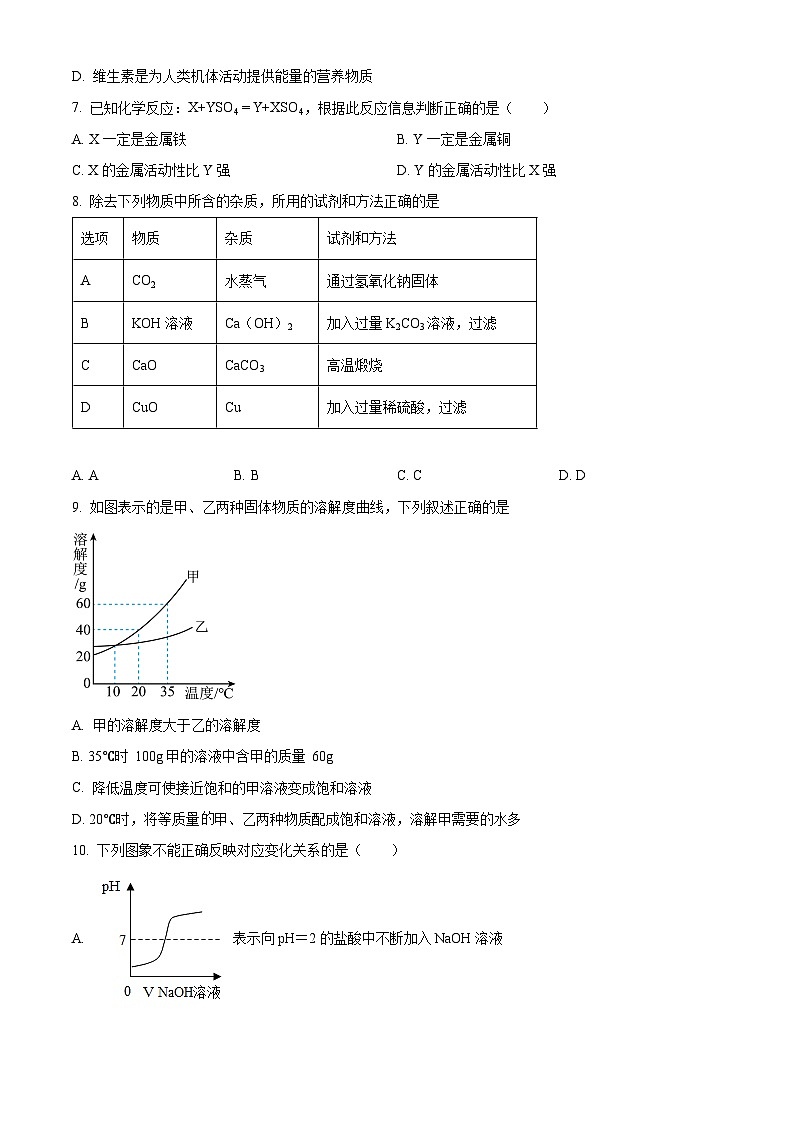 江苏省宿迁市沭阳县沭河中学2023-2024学年九年级下学期第一次调研测试化学试题（原卷版+解析版）02