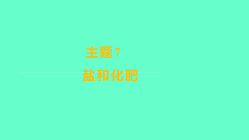 2024福建中考一轮复习 人教版化学 教材基础复习 板块一　主题7　盐和化肥课件PPT第1页