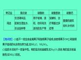 2024福建中考一轮复习 人教版化学 教材基础复习 板块一　主题7　盐和化肥课件PPT