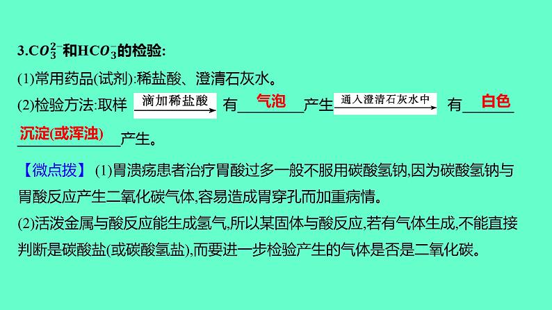 2024福建中考一轮复习 人教版化学 教材基础复习 板块一　主题7　盐和化肥课件PPT第5页