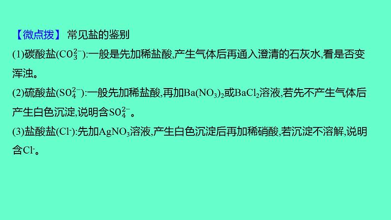 2024福建中考一轮复习 人教版化学 教材基础复习 板块一　主题7　盐和化肥课件PPT第8页