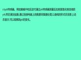 2024福建中考一轮复习 人教版化学 专题二　数字化实验课件PPT