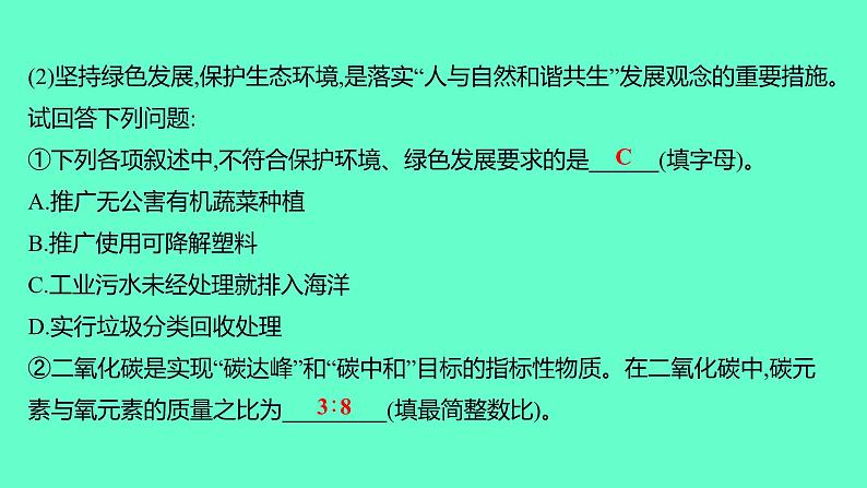 2024福建中考一轮复习 人教版化学 专题九　跨学科实践活动课件PPT第3页