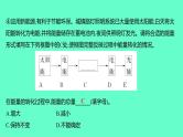 2024福建中考一轮复习 人教版化学 专题九　跨学科实践活动课件PPT