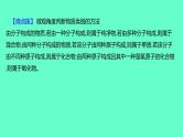 2024福建中考一轮复习 人教版化学 教材基础复习 板块二　主题1　化学物质的多样性课件PPT