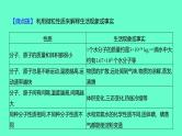 2024福建中考一轮复习 人教版化学 教材基础复习 板块二　主题2　微粒构成物质　认识化学元素课件PPT
