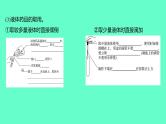 2024福建中考一轮复习 人教版化学 教材基础复习 板块五　主题1　科学实验基本操作课件PPT