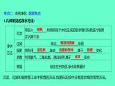 2024福建中考一轮复习 人教版化学 教材基础复习 板块一　主题3　水课件PPT