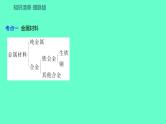 2024福建中考一轮复习 人教版化学 教材基础复习 板块一　主题5　金属与金属矿物课件PPT