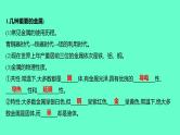 2024福建中考一轮复习 人教版化学 教材基础复习 板块一　主题5　金属与金属矿物课件PPT