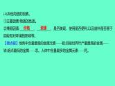 2024福建中考一轮复习 人教版化学 教材基础复习 板块一　主题5　金属与金属矿物课件PPT