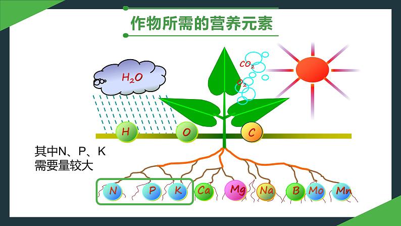 人教版九年级化学下册同步精品课件  第11单元 课题2 化学肥料（精品同步教学课件）07