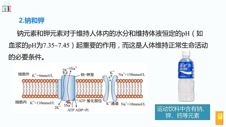 人教版九年级化学下册同步精品课件  课题2 化学元素与人体健康（精品同步教学课件）08