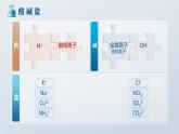 人教版九年级化学下册公开课精品课件   11.1. 2 生活中常见的盐（第2课时）（精品同步教学课件）