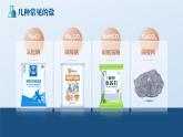 人教版九年级化学下册公开课精品课件   11.1. 生活中常见的盐（第1课时）（精品同步教学课件）