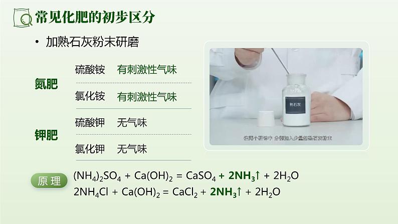 人教版九年级化学下册公开课精品课件   11.2.2 化学肥料（第2课时）（精品同步教学课件）第5页