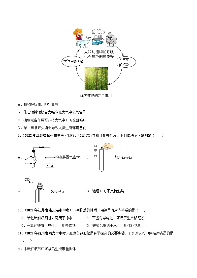 中考化学真题分项汇编(全国通用)(第01期)专题09碳和碳的氧化物(原卷版+解析)02