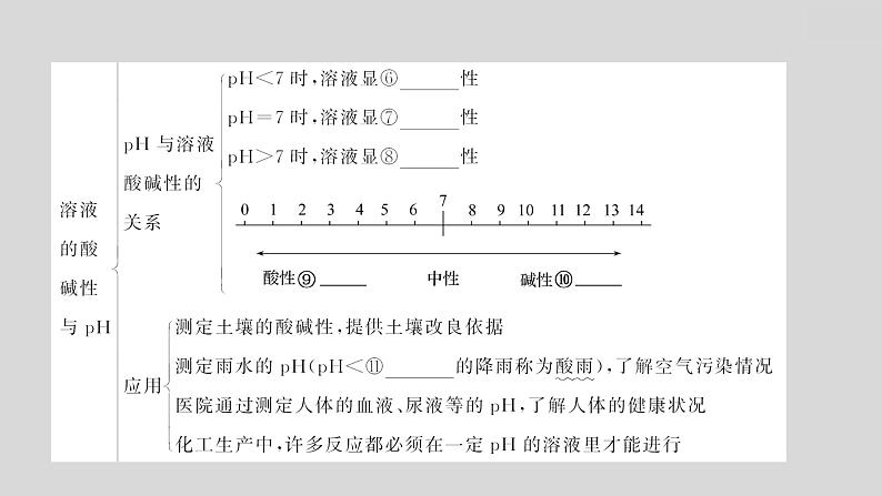 2024广西中考复习 通用版化学 教材基础复习 板块一  第6讲　酸和碱 课件08