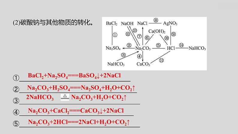 2024广西中考复习 通用版化学 教材基础复习 板块一  第7讲　盐　化肥 课件04