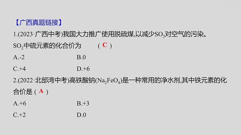 2024广西中考复习 通用版化学 教材基础复习 板块二  第3讲　化学式与化合价 课件08