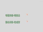 2024广西中考复习 通用版化学 热考专题突破 专题六　实验探究题 课件