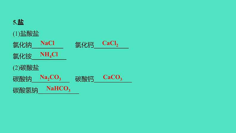 2024中考一轮复习 鲁教版化学 教材基础复习 微专题一　化学用语 课件第8页