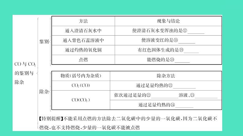 2024中考一轮复习 鲁教版化学 教材基础复习 第六单元 第三节　大自然中的二氧化碳 课件第7页