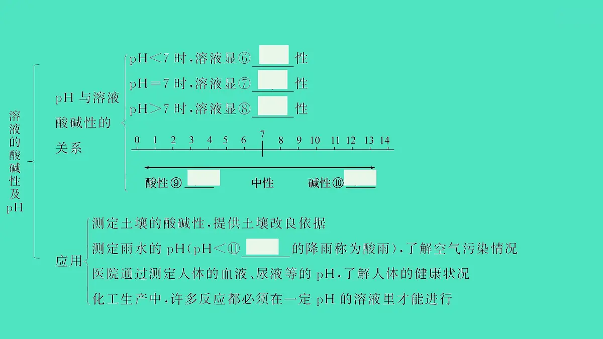 2024中考一轮复习 鲁教版化学 教材基础复习 第七单元 第三节、第四节 溶液的酸碱性及中和反应 课件第3页