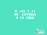 2023-2024 人教版化学 九年级下册 第十一单元   课题1　第1课时　常见的盐 课件