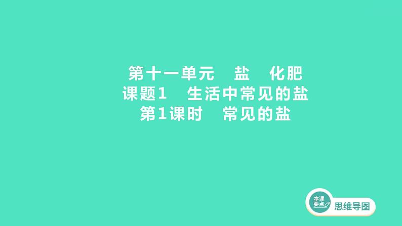 2023-2024 人教版化学 九年级下册 第十一单元   课题1　第1课时　常见的盐 课件第1页