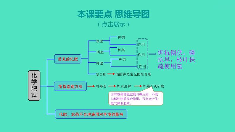 2023-2024 人教版化学 九年级下册 第十一单元   课题2　化学肥料 课件第2页