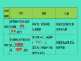 2023-2024 人教版化学 九年级下册 第十一单元   课题2　化学肥料 课件