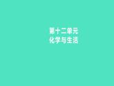 2023-2024 人教版化学 九年级下册 教师独具   第十二单元   化学与生活 课件