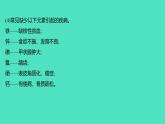 2023-2024 人教版化学 九年级下册 教师独具   第十二单元   化学与生活 课件