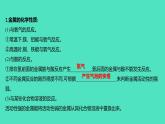 2023-2024 人教版化学 九年级下册 实验活动4　金属的物理性质和某些化学性质 课件