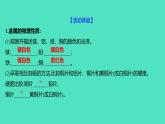 2023-2024 人教版化学 九年级下册 实验活动4　金属的物理性质和某些化学性质 课件