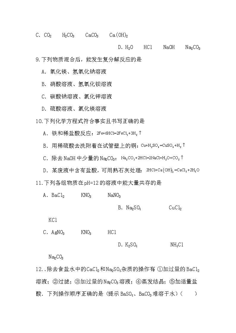 第十一单元 盐和化肥 单元检测2  九年级化学人教版下册03