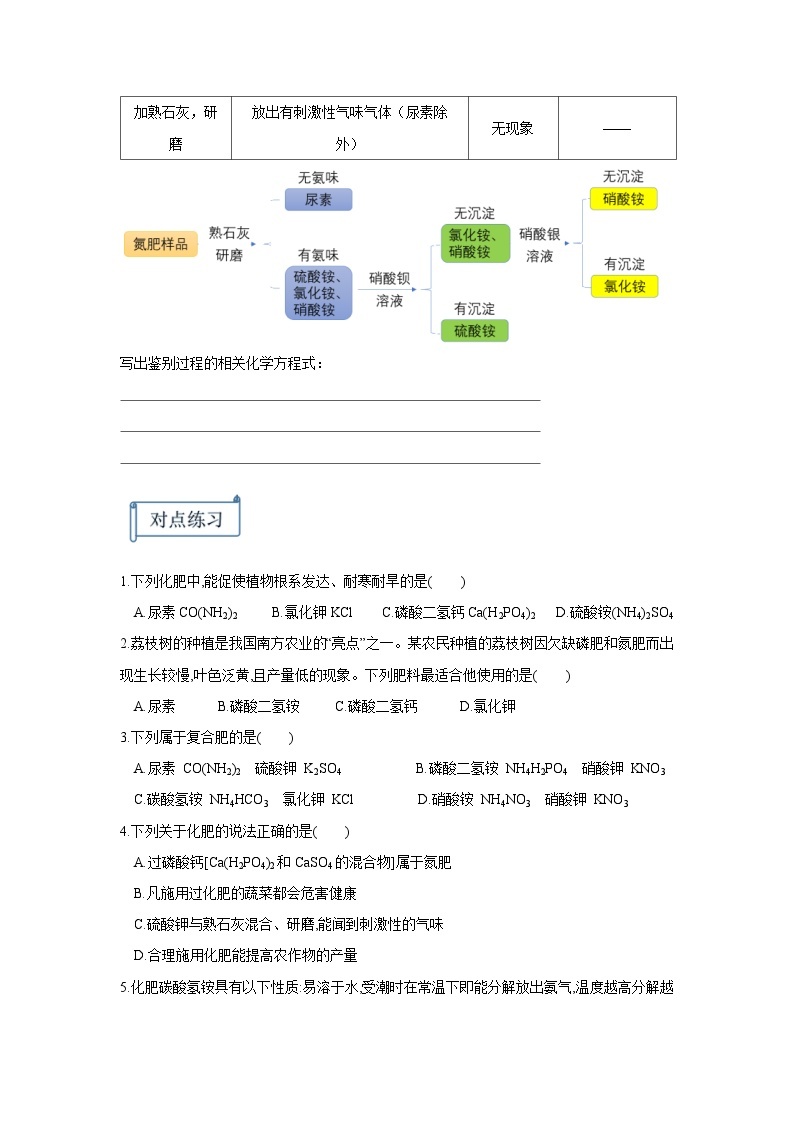 第十一单元化肥及粗盐提纯讲义  九年级化学人教版下册02