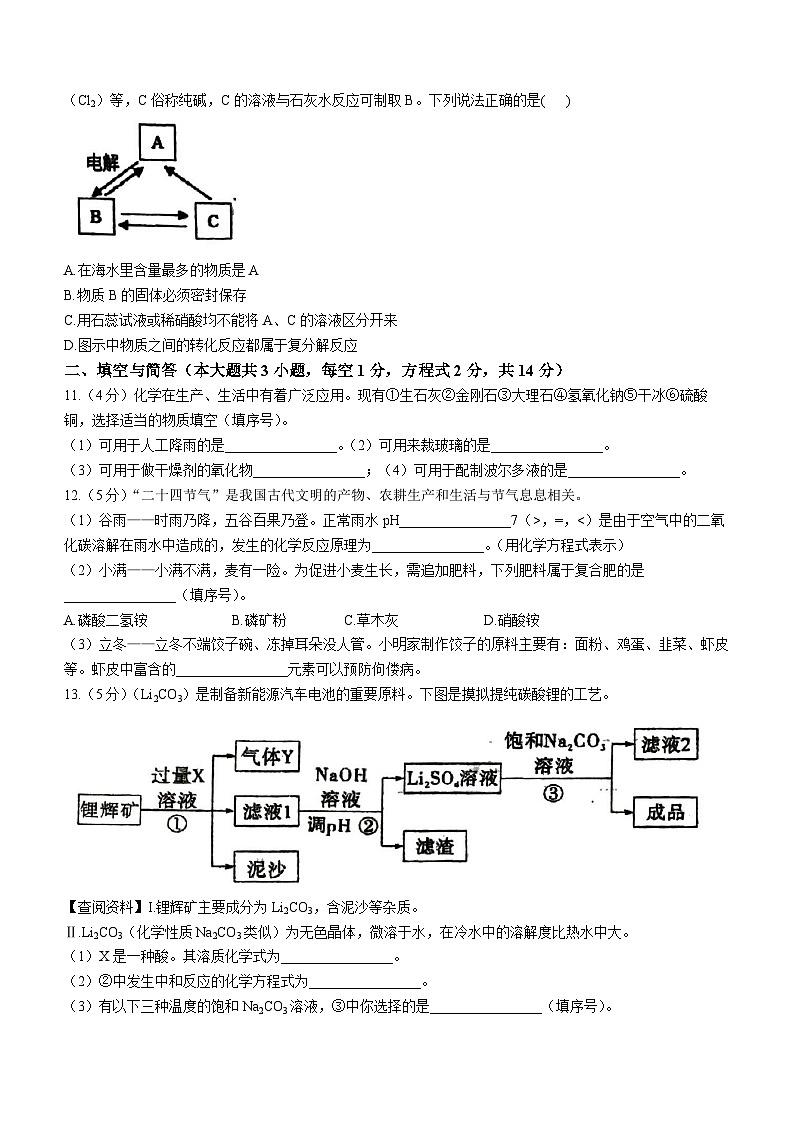江苏省徐州市沛县第五中学2023-2024学年九年级下学期3月月考化学试题03