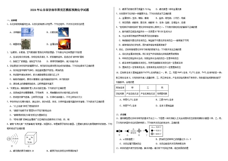 2024年山东省济南市莱芜区模拟预测化学试题01