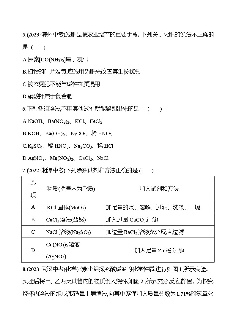 2023-2024 人教版化学 中考一轮复习 第十一单元　盐　化肥 提高练习 （学生版）第2页