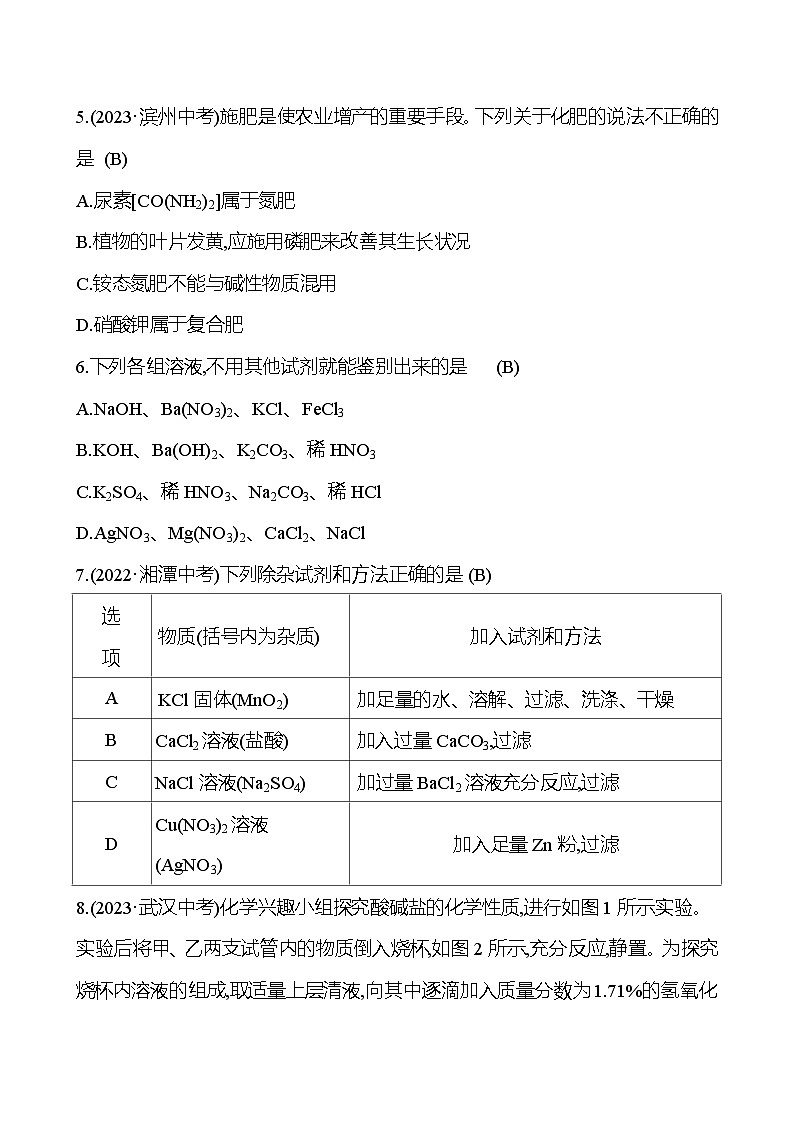 2023-2024 人教版化学 中考一轮复习 第十一单元　盐　化肥 提高练习 （教师版）第2页