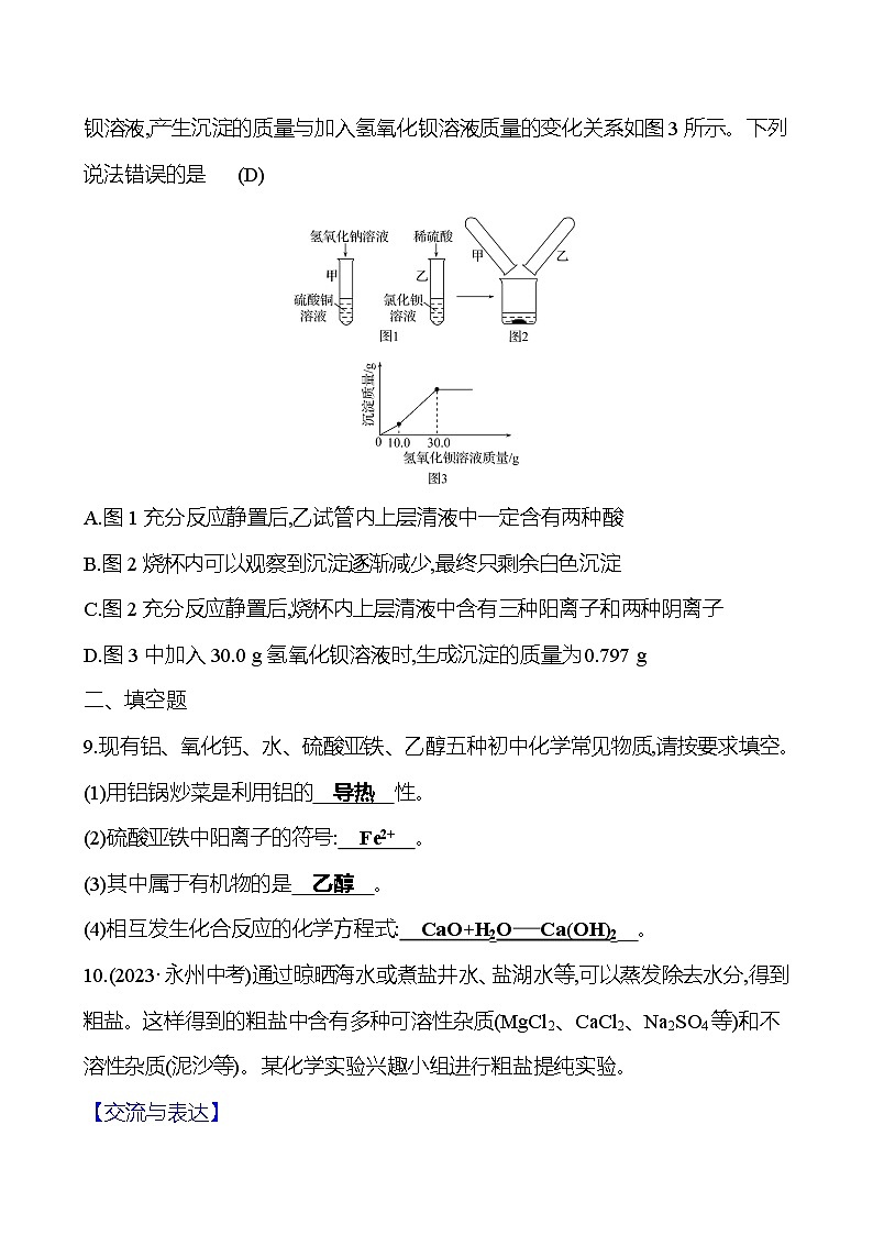 2023-2024 人教版化学 中考一轮复习 第十一单元　盐　化肥 提高练习 （教师版）第3页