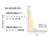 12.2化学元素与人体健康课件+-2023-2024学年九年级化学人教版下册