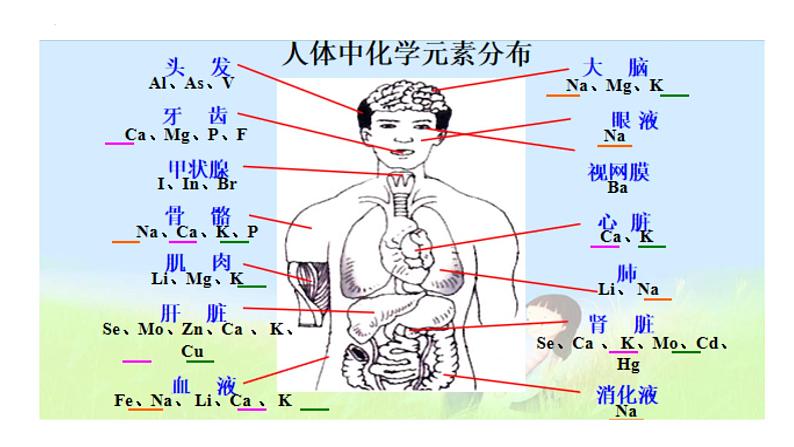 12.2化学元素与人体健康课件+-2023-2024学年九年级化学人教版下册06